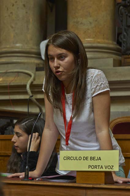 Parlamento Dos Jovens Sess O Nacional B Sico Plen Rio