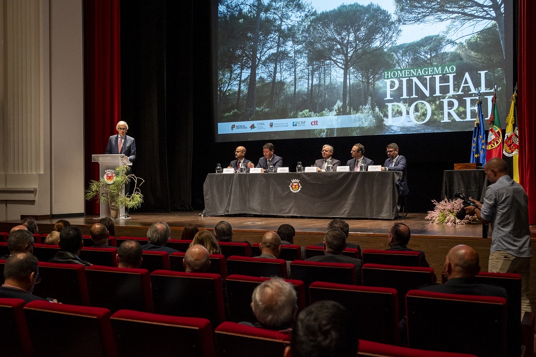 homenagem a Pinhal do Rei