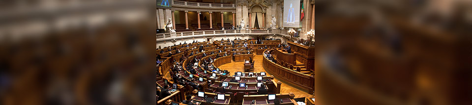 Reunião plenária