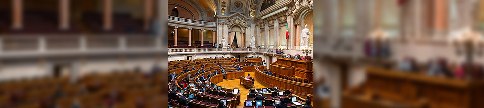 Reunião plenária