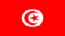 Portugal-Tun&#237;sia | Cerim&#243;nia de apresenta&#231;&#227;o da tradu&#231;&#227;o em l&#237;ngua portuguesa da Constitui&#231;&#227;o tunisina | 8 de novembro de 2017 | Biblioteca Passos Manuel
